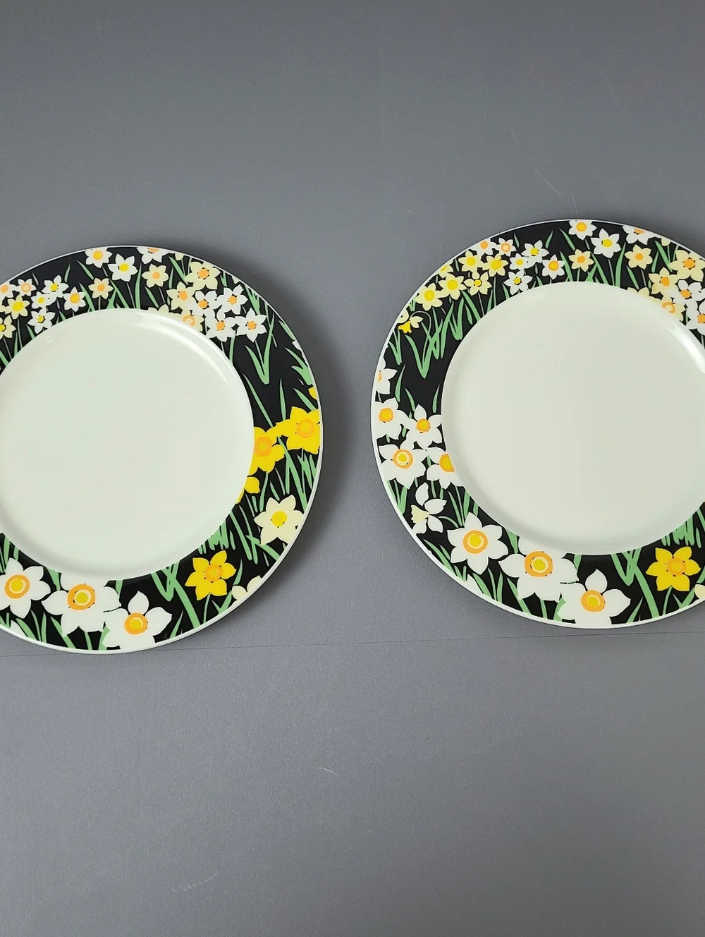 Mikasa Summer Night Joan Luntz Japan Bone China Vintage Plates- Set of Two